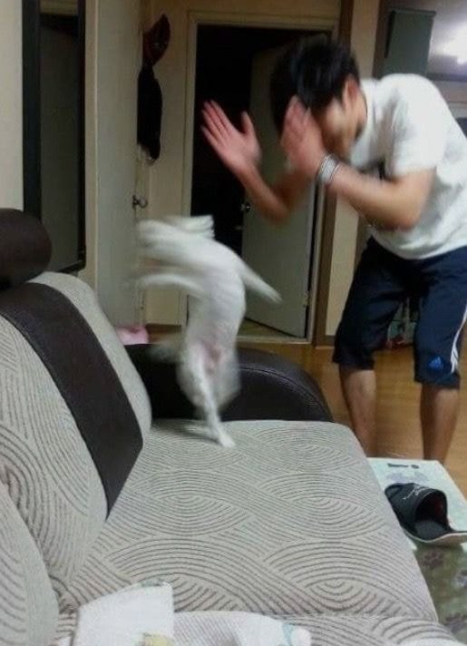 방탄소년단 - 핸섬하고 싶다더니 흥이난 윤기와 짜란다 중인 지민이 ㅋㅋㅋ