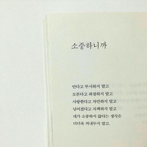 이슈/유머 - 예쁜 사람아. 오늘도 버텨내줘서 고마워. 이 새벽은 너를 위한 선물이야.