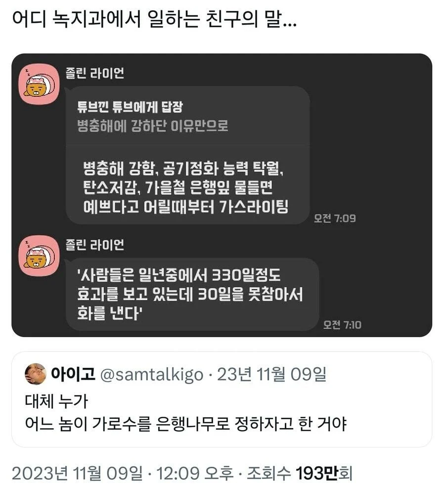 이슈/유머 - 은행열매테러 넘싫은데, 다 뽑고 다른거심음 안돼? 이슈/유머 - 은행열매테러 넘싫은데, 다 뽑고 다른거심음 안돼?