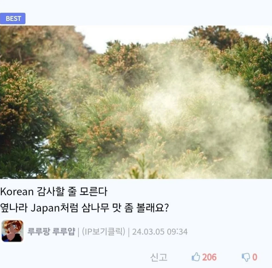 이슈/유머 - 은행열매테러 넘싫은데, 다 뽑고 다른거심음 안돼? 이슈/유머 - 은행열매테러 넘싫은데, 다 뽑고 다른거심음 안돼?