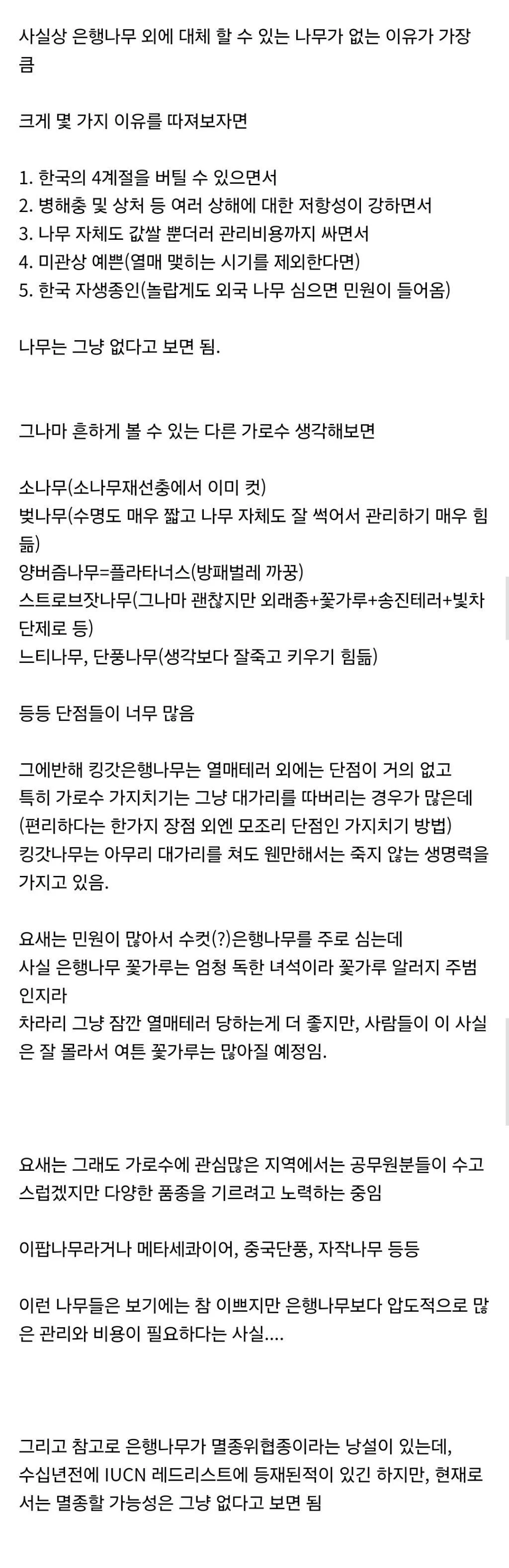 이슈/유머 - 은행열매테러 넘싫은데, 다 뽑고 다른거심음 안돼? 이슈/유머 - 은행열매테러 넘싫은데, 다 뽑고 다른거심음 안돼?