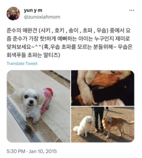 이슈/유머 - 강아지가 클랜징폼만큼 작다는 시아준수형과 펫샵 입양값까지 적어놓고 파양하는 시아준수