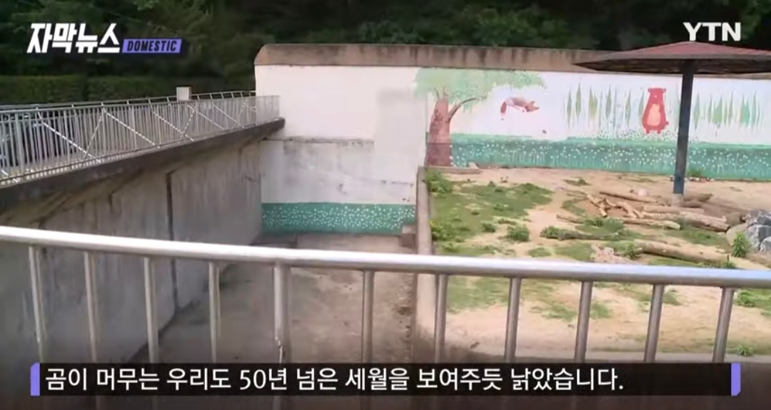 이슈/유머 - 낙후된 대공원을 재조성하고 동물 복지를 고려한 동물원을 만들어 판다도 대여할 계획이라는 대구, 그러나 판다 대여는 홍시장의... 