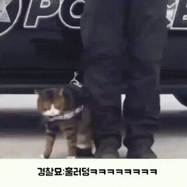 게시글 대표 이미지